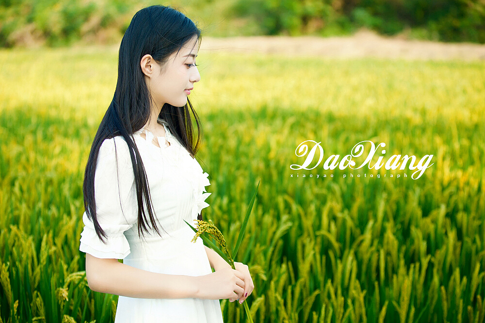 稻香（图ZMzU0NjExNTI=） - 人像摄影 - 站酷设计师xjtomb原创素材 - 站酷ZCOOL