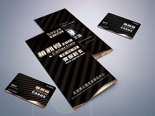 套卡銷售三折頁（個人主頁-ZMjY1NzA0MDA=） - 其他平面 - 站酷設(shè)計師呂貝原創(chuàng)素材 - 站酷ZCOOL