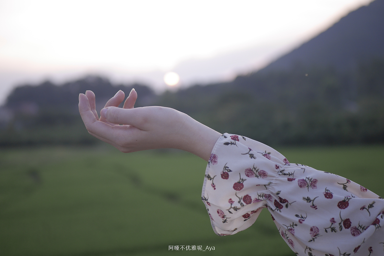 金秋落日 温柔如你