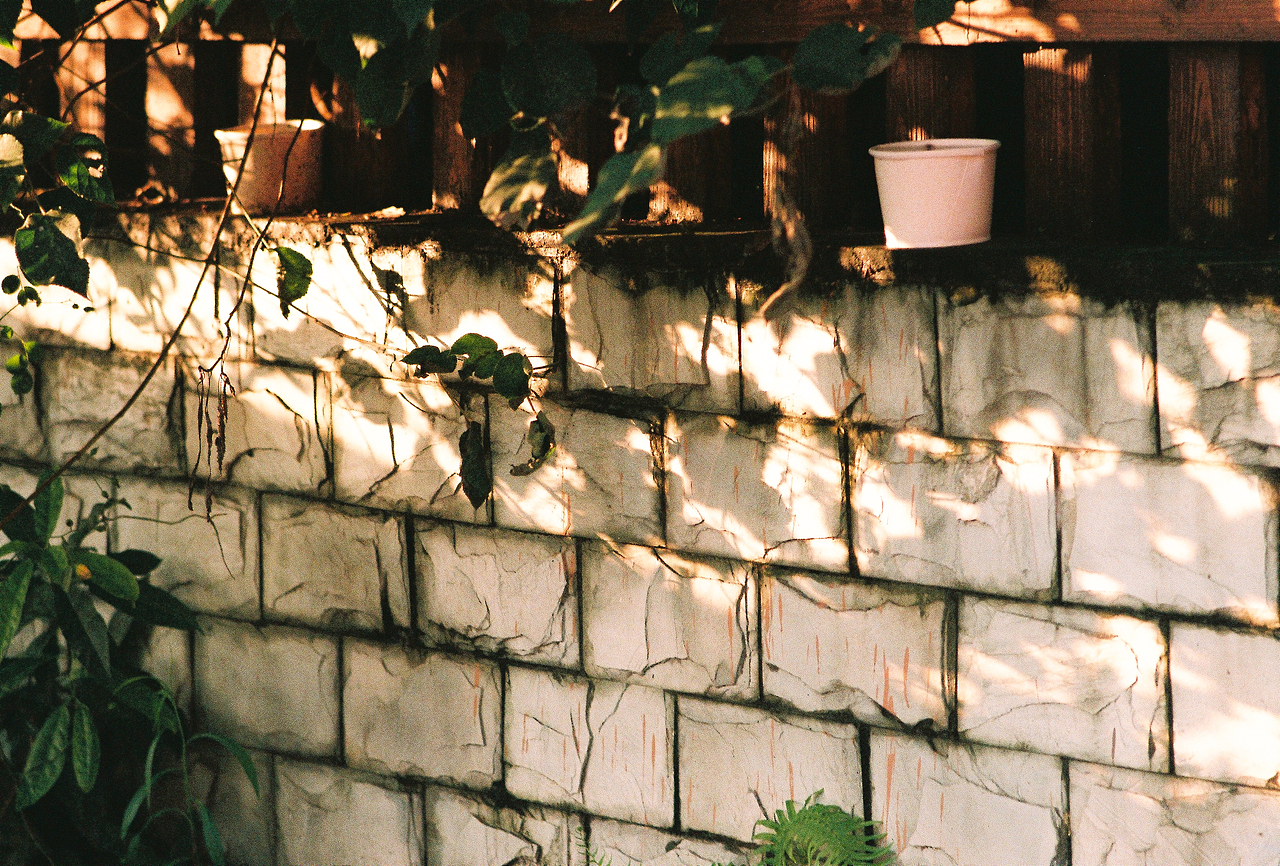 摄胶记~（图ZMTc2OTA5NDEy） - 人像摄影 - 站酷设计师阿尔法Romeo原创素材 - 站酷ZCOOL