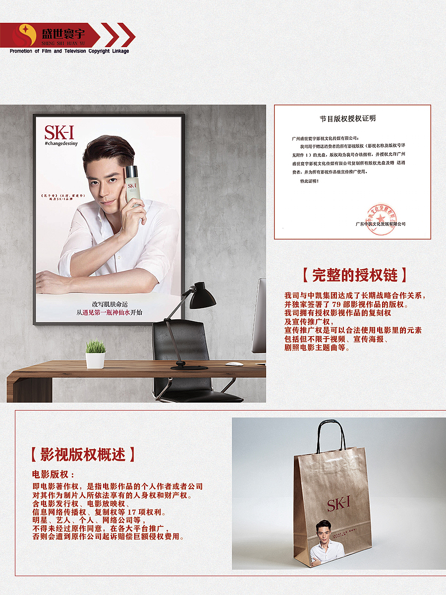 影视版权宣推ppt(竖版)