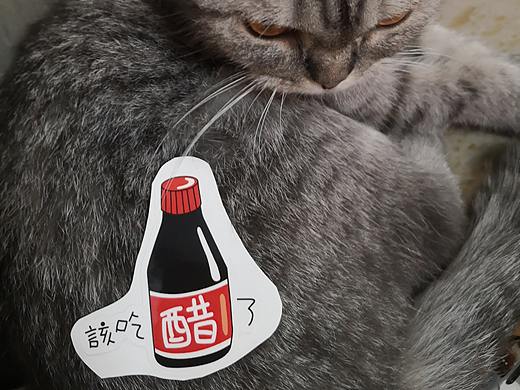 山西特产之“该吃醋了”系列表情包