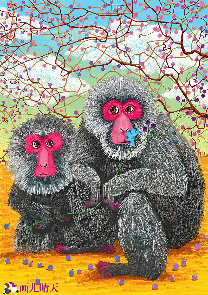 画儿晴天-猴年插画-生肖猴-双猴