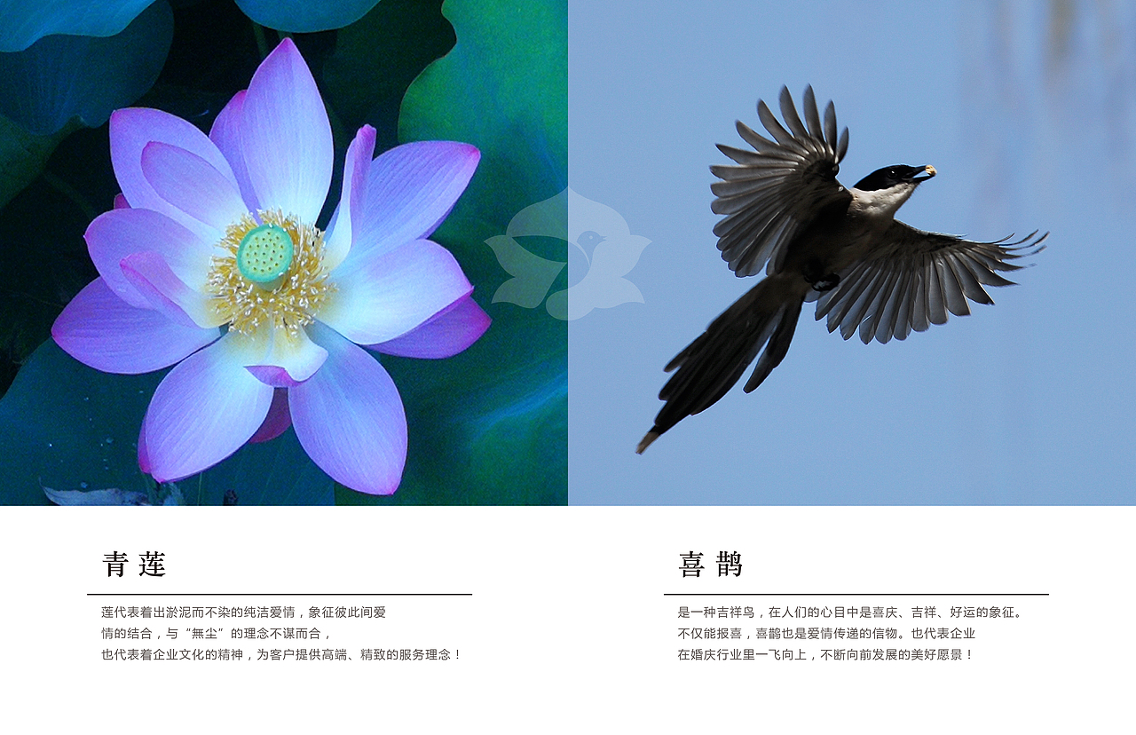 婚礼logo设计（图ZMjIwMDUzMDA4） - Logo - 站酷设计师森美文化设计原创素材 - 站酷ZCOOL