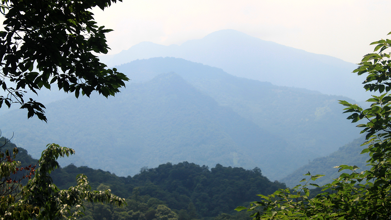 摄影作品（青城山，都江堰）（图ZNTc2NDk0NDg=） - 风光摄影 - 站酷设计师树木端原创素材 - 站酷ZCOOL