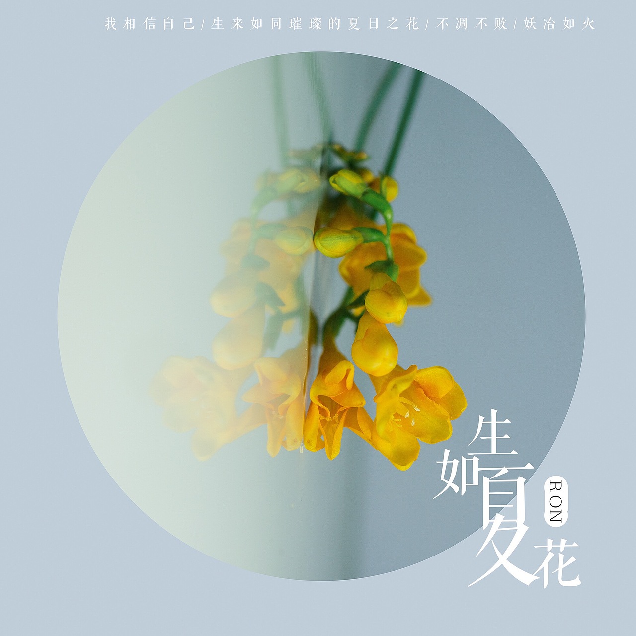 香雪兰（图ZNzIyOTcyODQ=） - 产品摄影 - 站酷设计师榮羽生RON原创素材 - 站酷ZCOOL