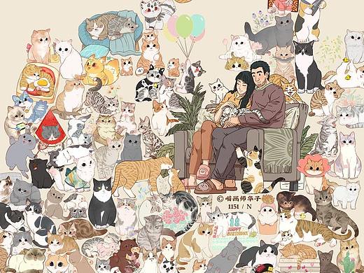 画猫的1150天记录!