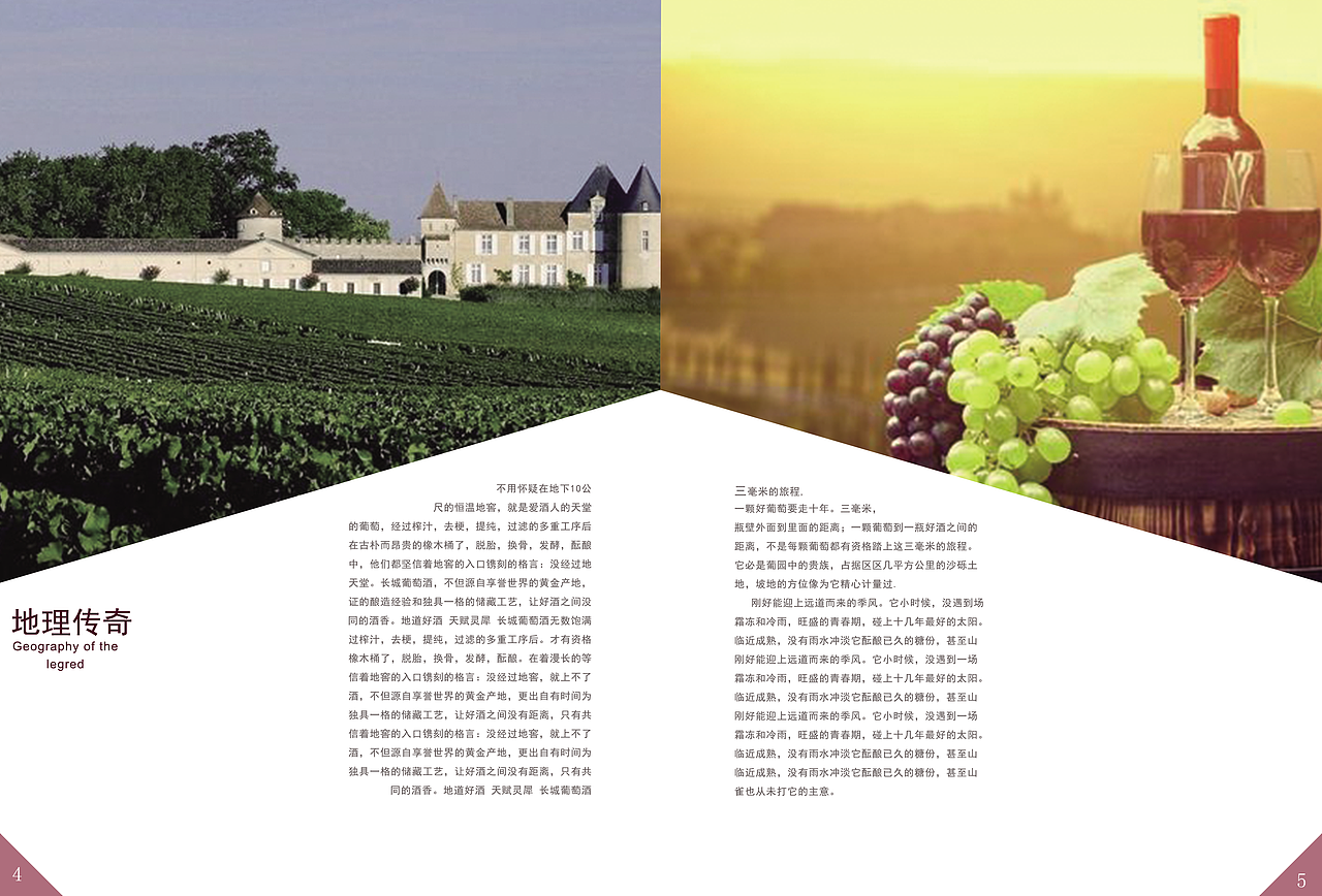 红酒画册（图ZMTU0MDAyODcy） - 书籍/画册 - 站酷设计师唐小白设计师原创素材 - 站酷ZCOOL