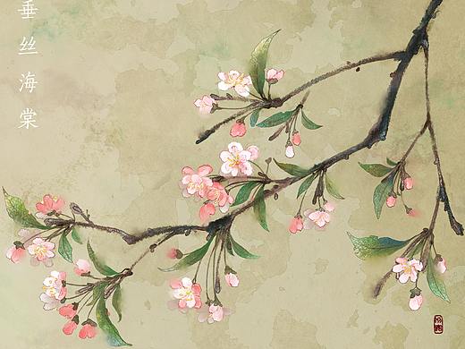 古风海棠系列插画