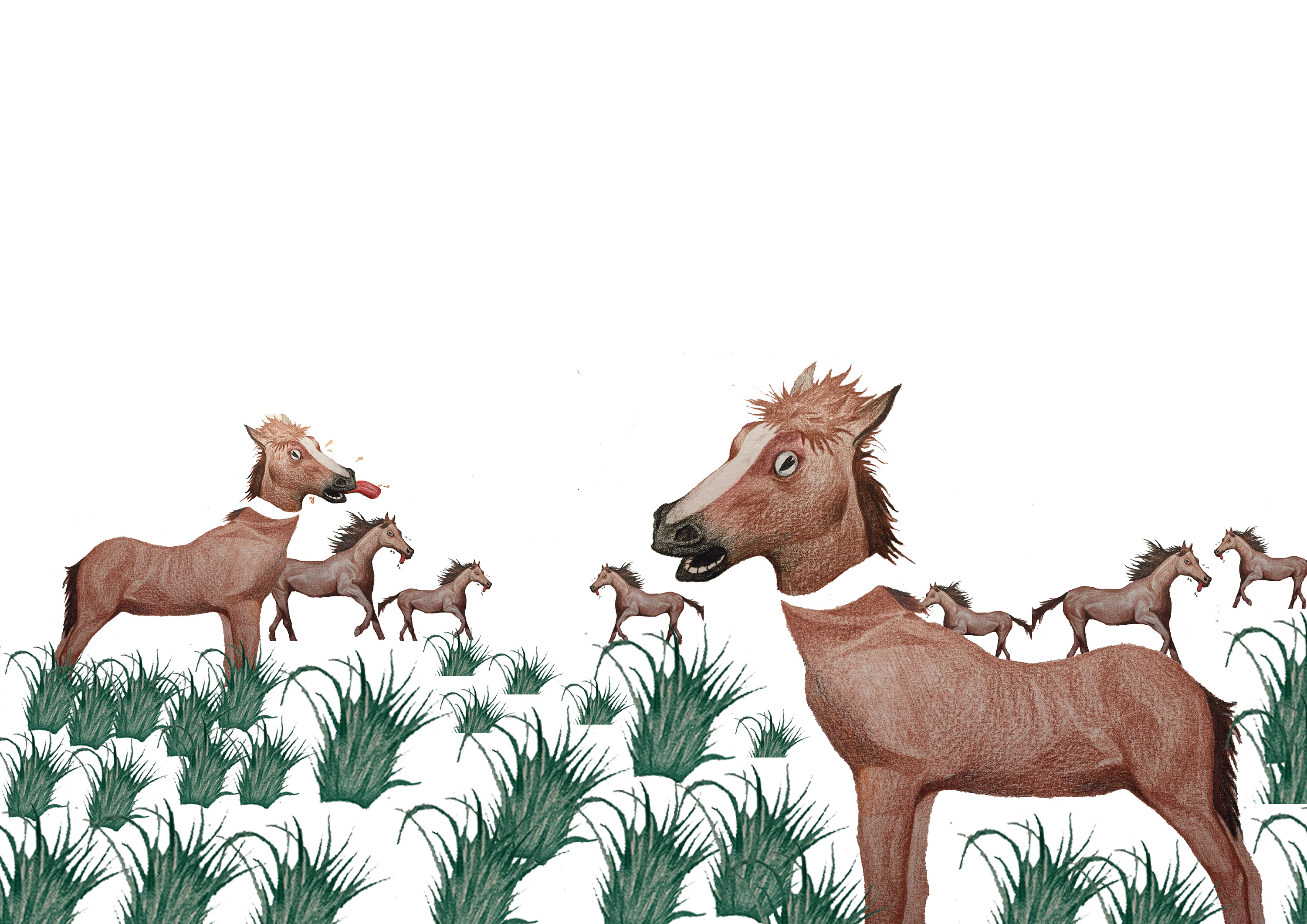 出书的马|插画|创作习作|clavinxin - 原创作品 - 站酷 (zcool)