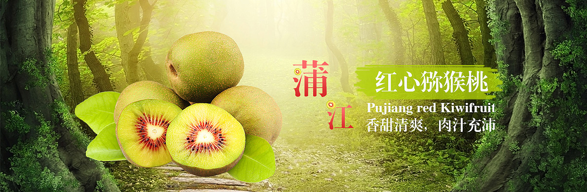 电商猕猴桃、龙眼、banner（图ZMzMyMDYzNjQ=） - 运营设计 - 站酷设计师小野狼原创素材 - 站酷ZCOOL