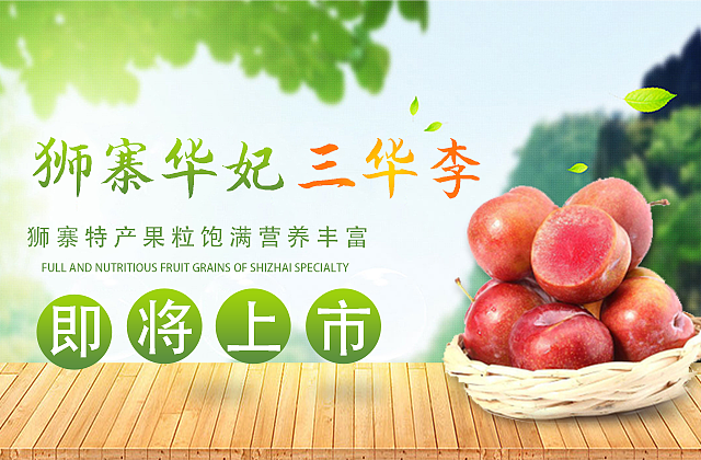 详情页-主图（图ZMTY0MDY0MDky） - 其他平面 - 站酷设计师Z17002654原创素材 - 站酷ZCOOL