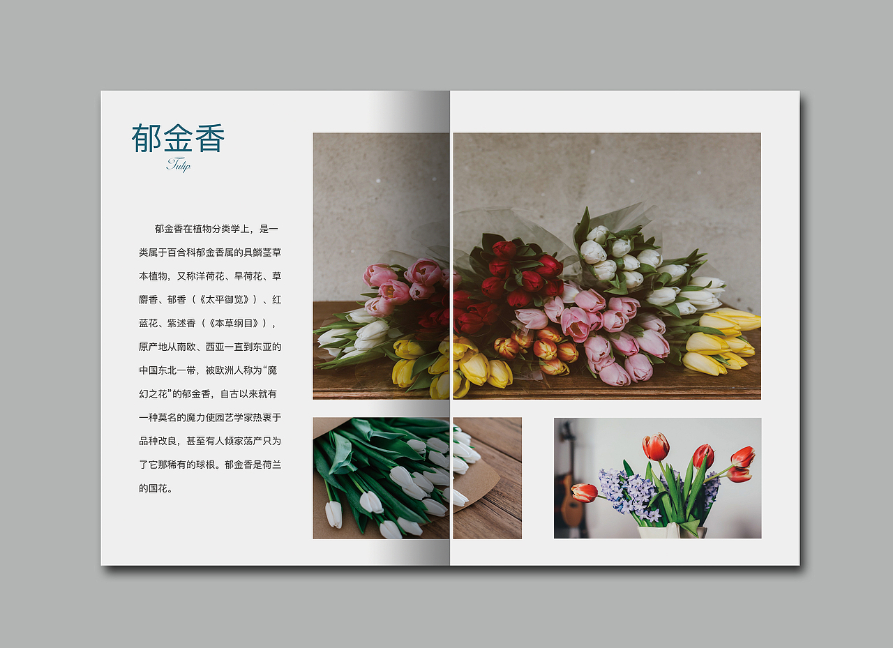 遇见花店画册（图ZODY0Mzc0NTI=） - 书籍/画册 - 站酷设计师李綺雯囖原创素材 - 站酷ZCOOL