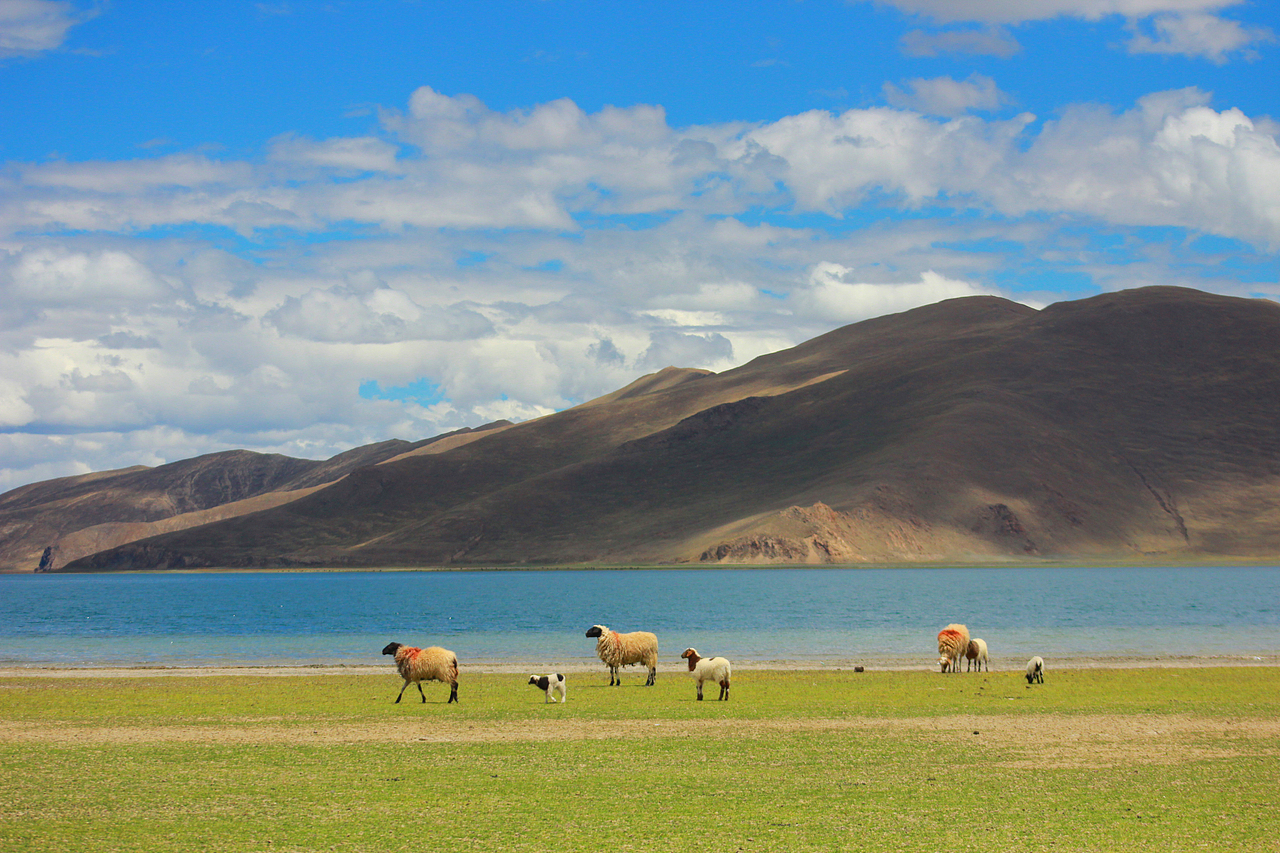 [在路上] 西藏拉萨羊卓雍措游记（图ZMjEzNTQyMzI4） - 人像摄影 - 站酷设计师土豆三田木原创素材 - 站酷ZCOOL