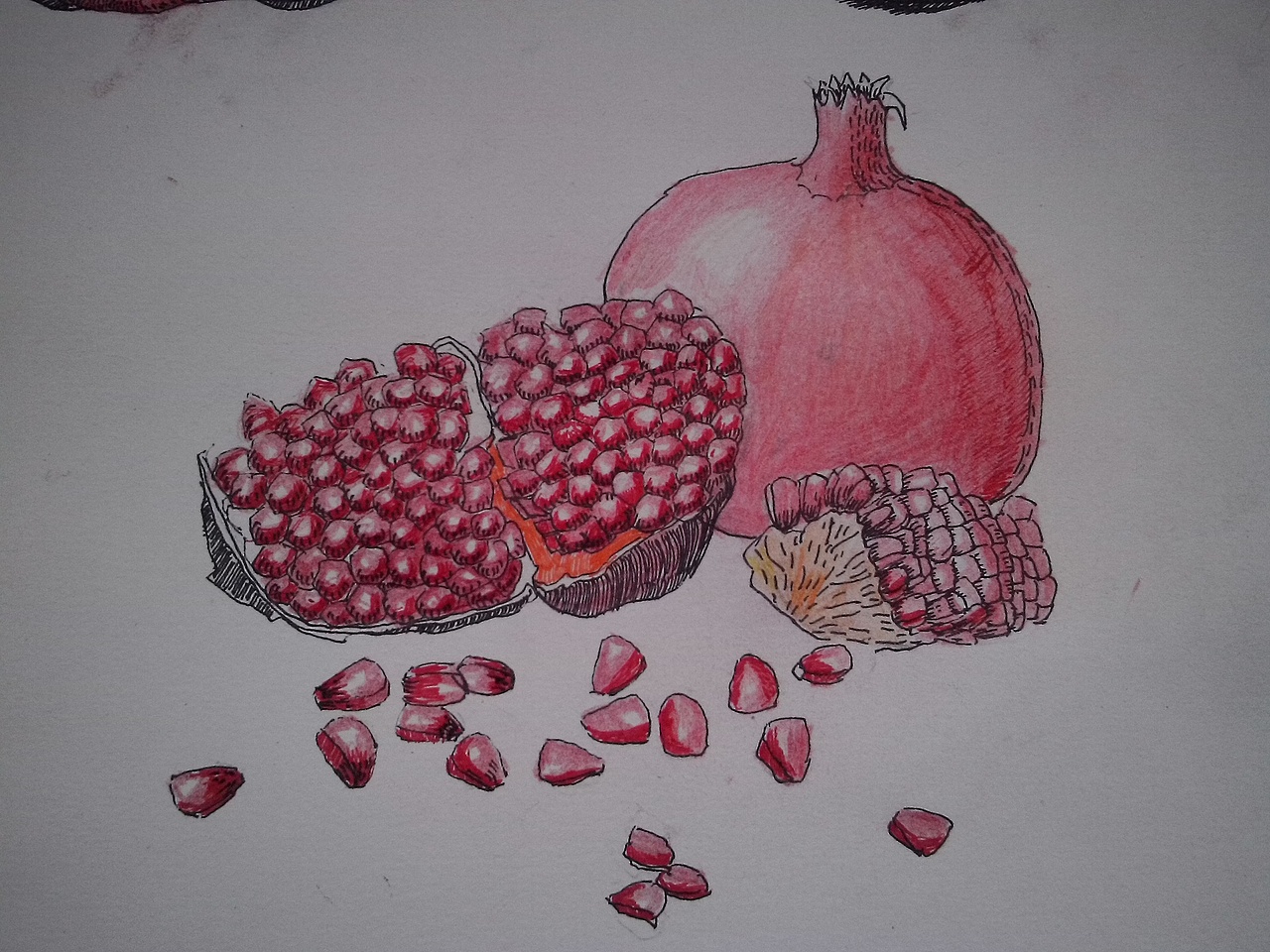 我喜欢的石榴（图ZMTU4MDQ3MDQ=） - 创作习作 - 站酷设计师等等dengdeng思原创素材 - 站酷ZCOOL