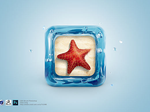 小海星