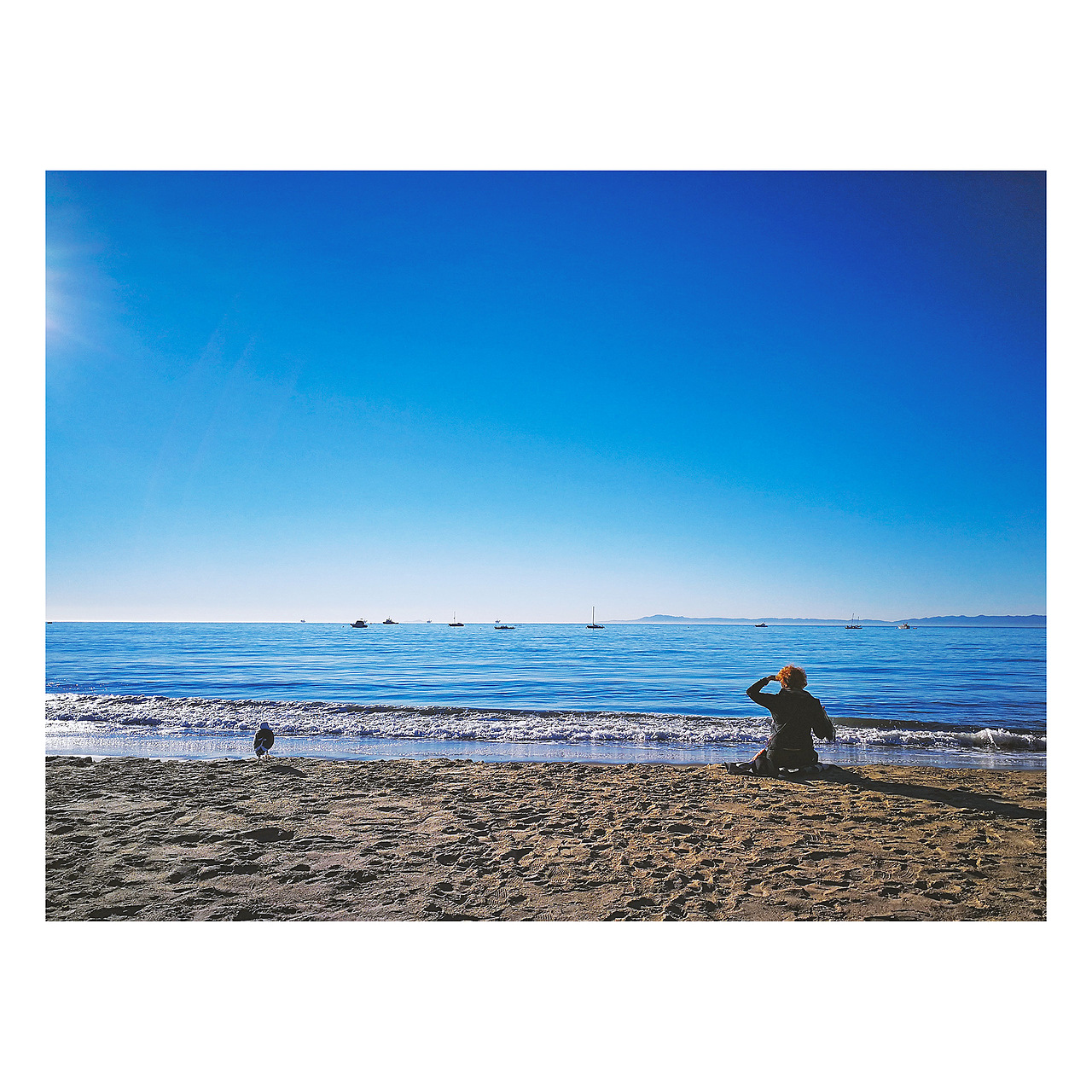 [手机摄影]二月美西，穿梭在海洋与雪地