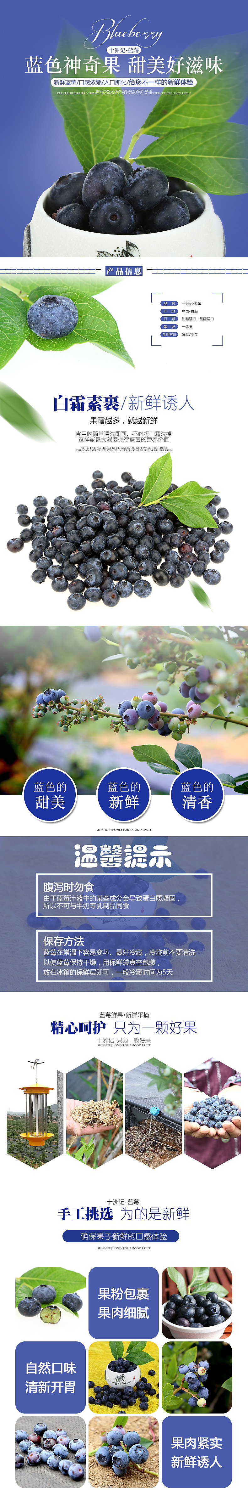 电商淘宝天猫水果蓝莓详情页（图ZNTQ0ODc3NDA=） - 电商 - 站酷设计师Arisyu1991原创素材 - 站酷ZCOOL