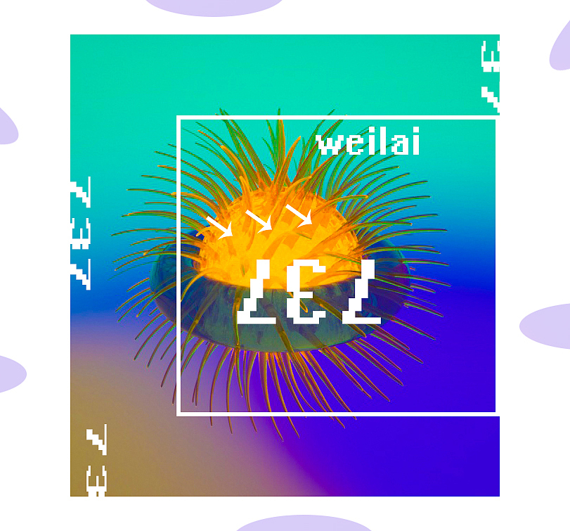 仙气菠萝头的骚操作