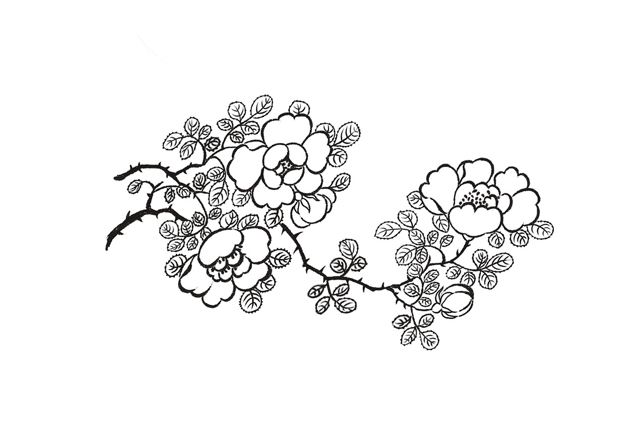 月季（图ZMjcyODE0OTky） - 图案 - 站酷设计师花露水儿原创素材 - 站酷ZCOOL