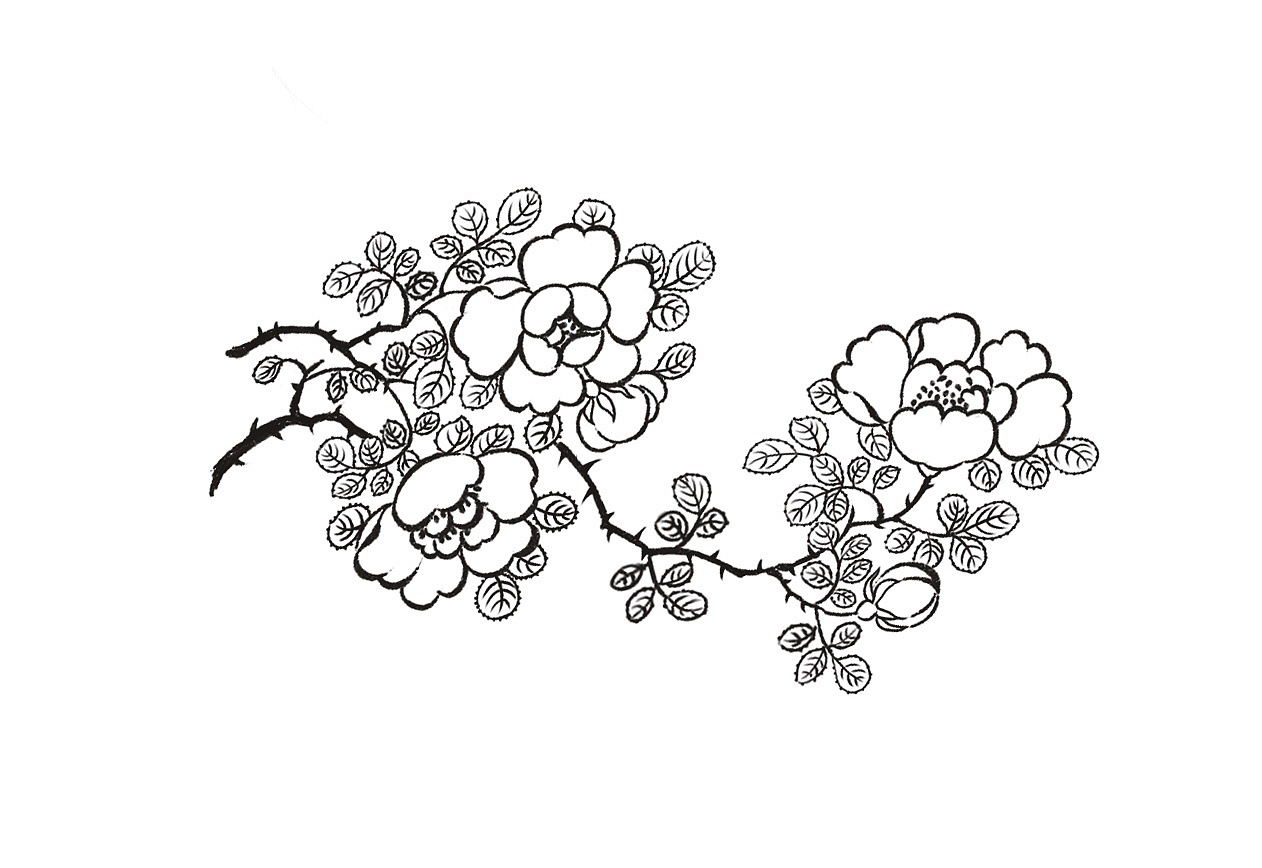 月季|平面|图案|花露水儿 - 临摹作品 - 站酷 (zcool)