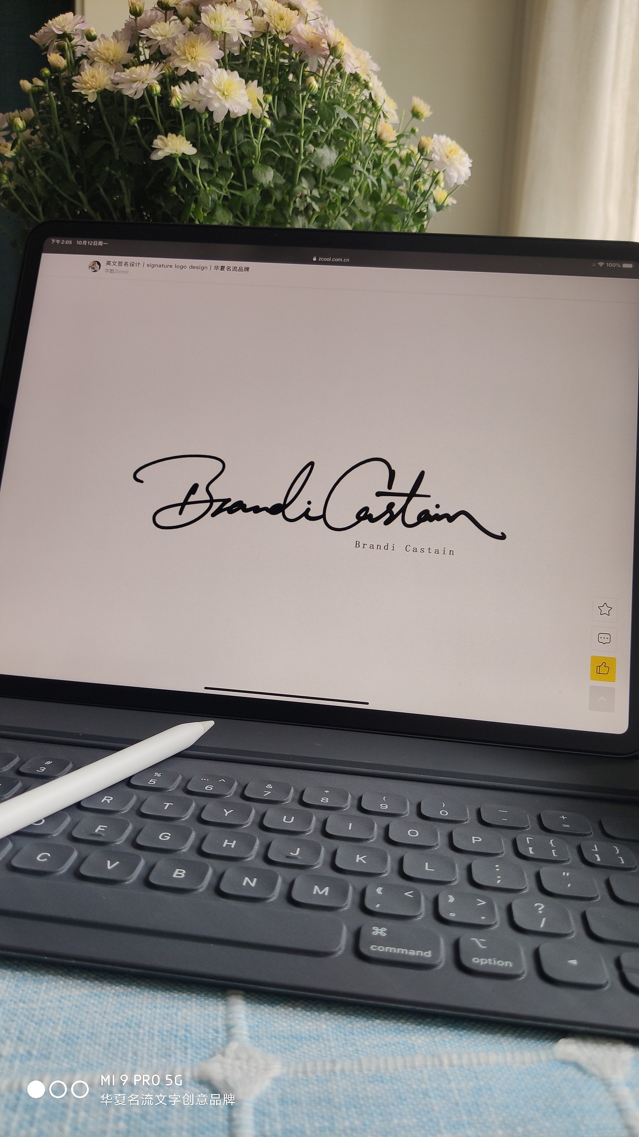 2020年签名与手写设计作品展示丨南京签名丨南京孙老师