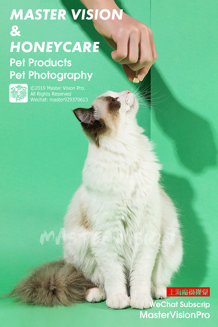 宠物吃喝生活一条龙全包|产品摄影|上海魔摄视觉