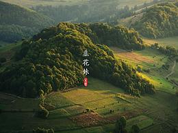 韭花妹 | LOGO | YINGSHAN | 已商用