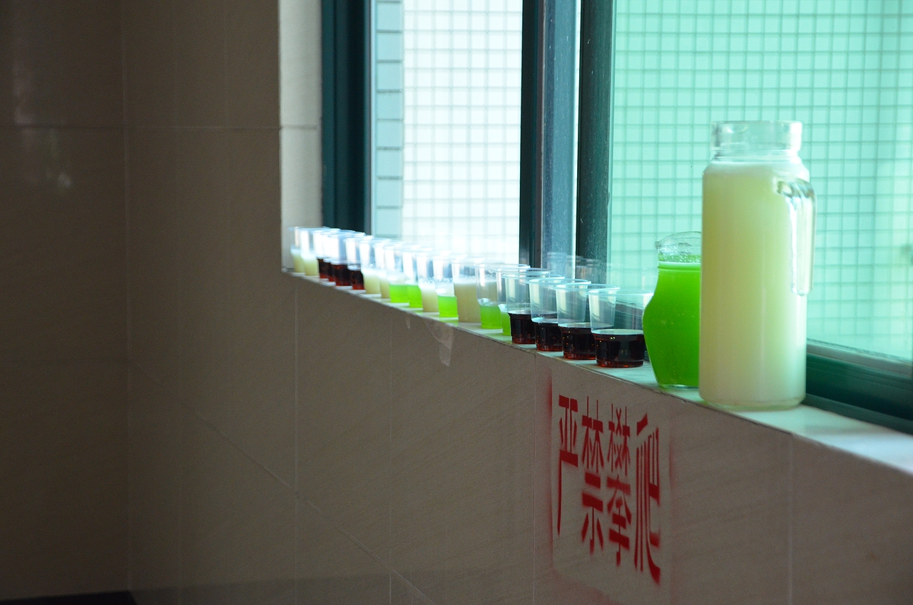 执子之手 与子偕老