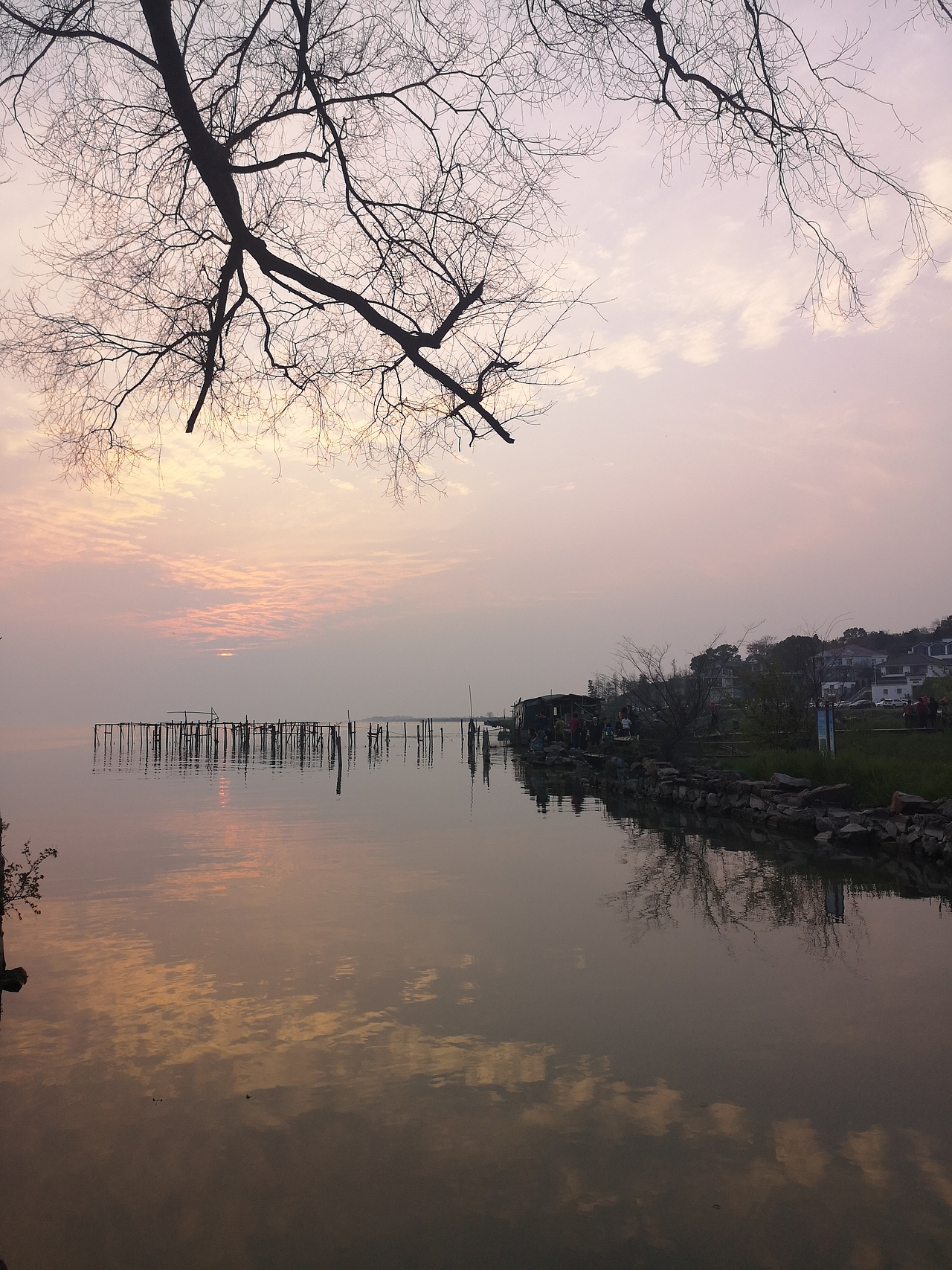 每日一拍-019（图ZMTUzMTIyNTA4） - 风光摄影 - 站酷设计师芝草晟林原创素材 - 站酷ZCOOL