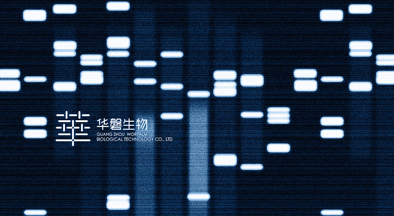 华盘生物 logo（图ZMjYzMDY2NDQw） - Logo - 站酷设计师ARTFAGO原创素材 - 站酷ZCOOL