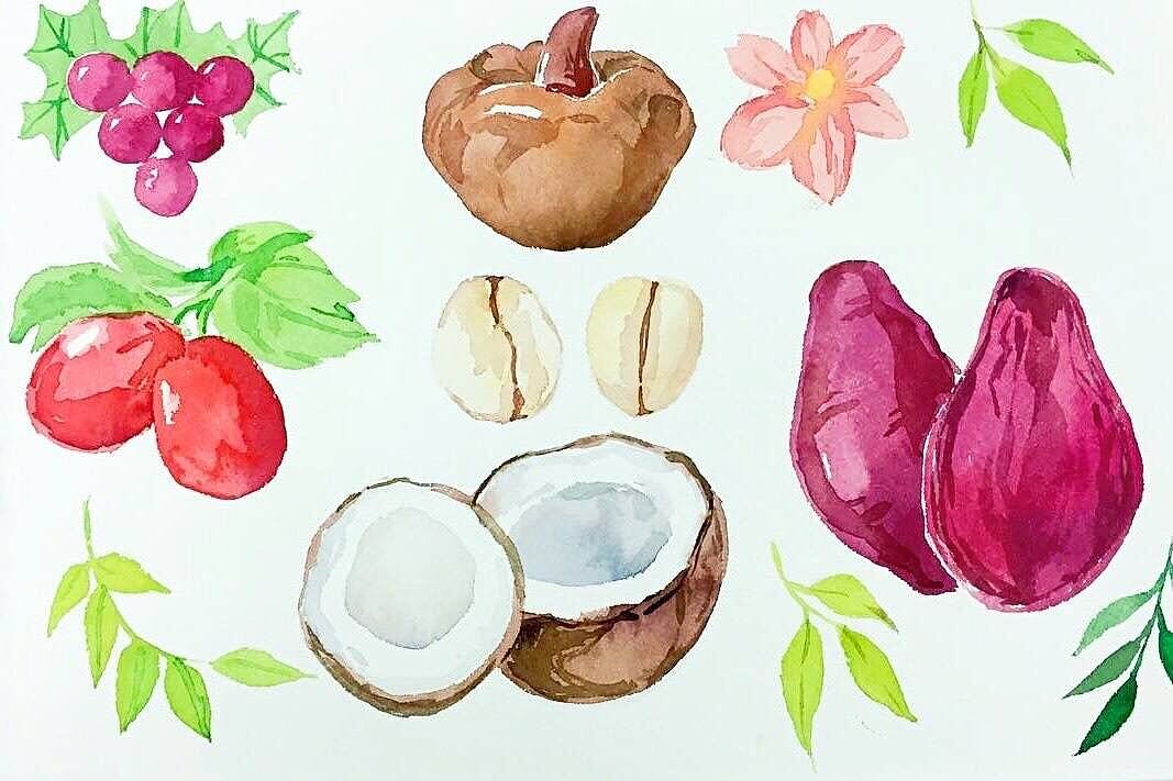 五谷磨房 魔芋代餐粉包装