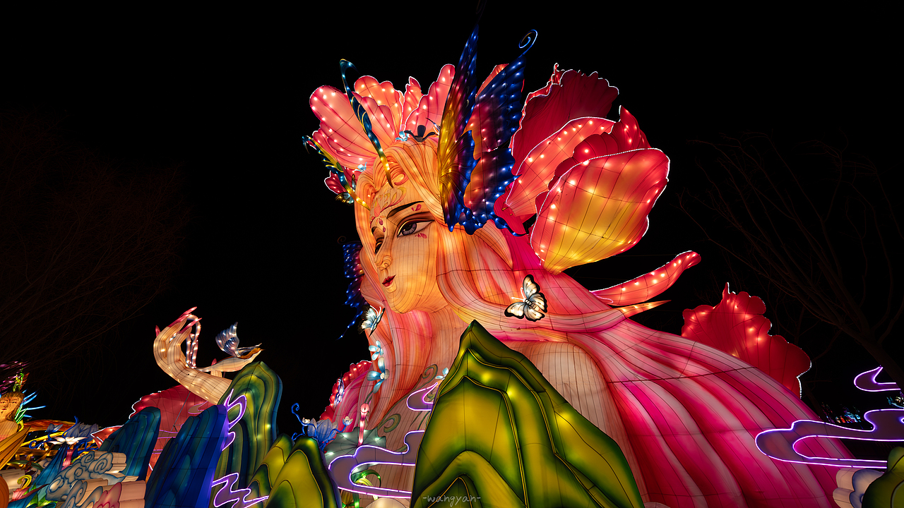 毕竟几人真得鹿 不知终日梦为鱼🏮