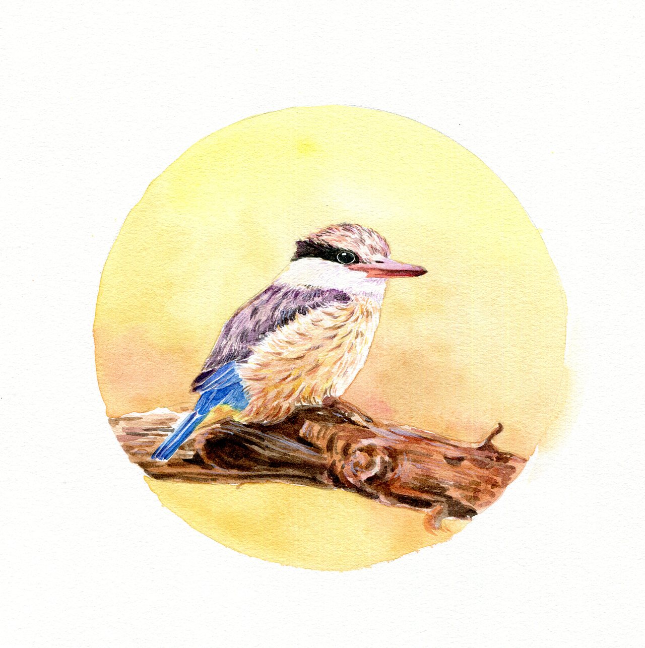 鸟（图ZMTgyMTExODAw） - 艺术插画 - 站酷设计师夏小嫣然原创素材 - 站酷ZCOOL