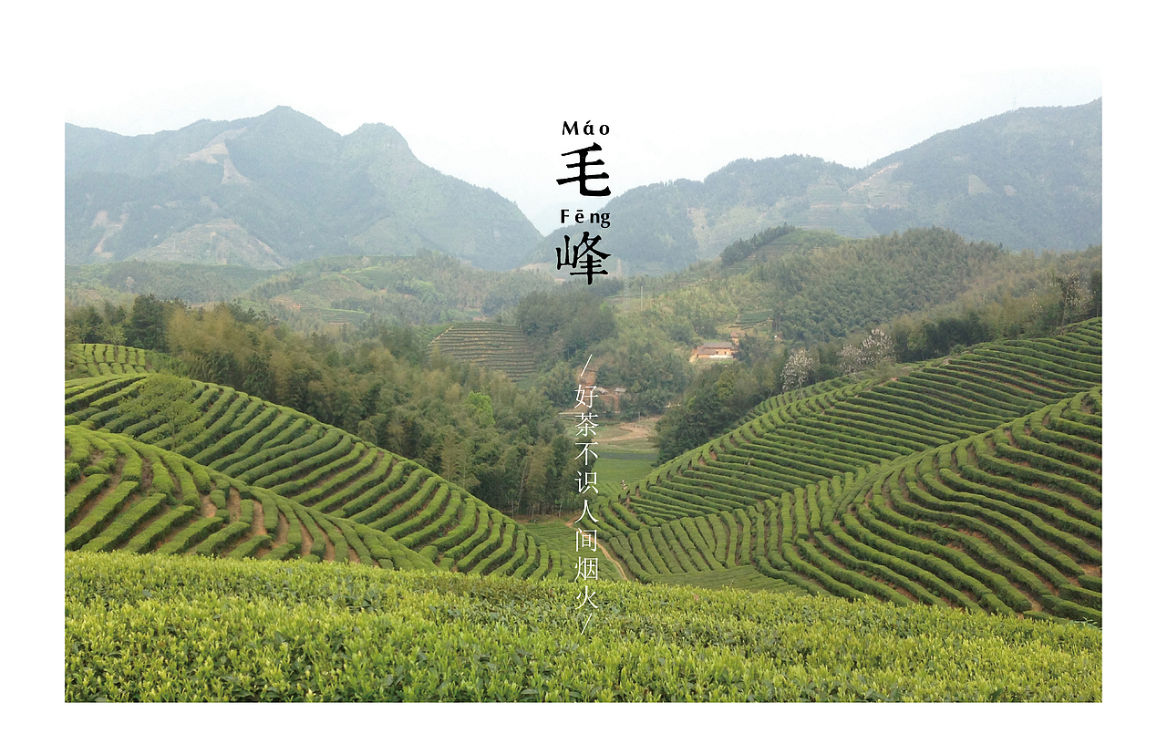 茶叶包装（图ZMzM0NDkxNDg=） - 包装 - 站酷设计师Easendesign原创素材 - 站酷ZCOOL