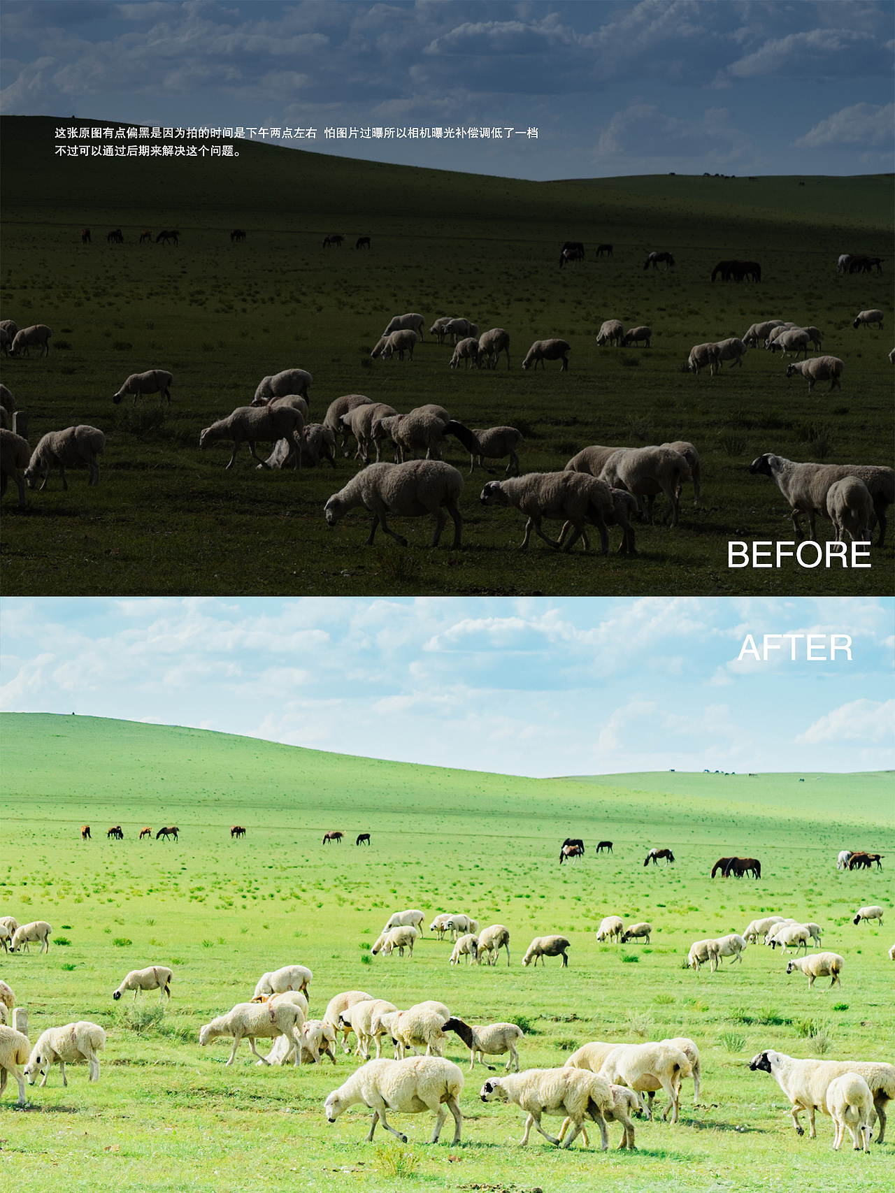 LR调色教程（图ZMjI2MDU4NTk2） - 修图/后期 - 站酷设计师一船长原创素材 - 站酷ZCOOL