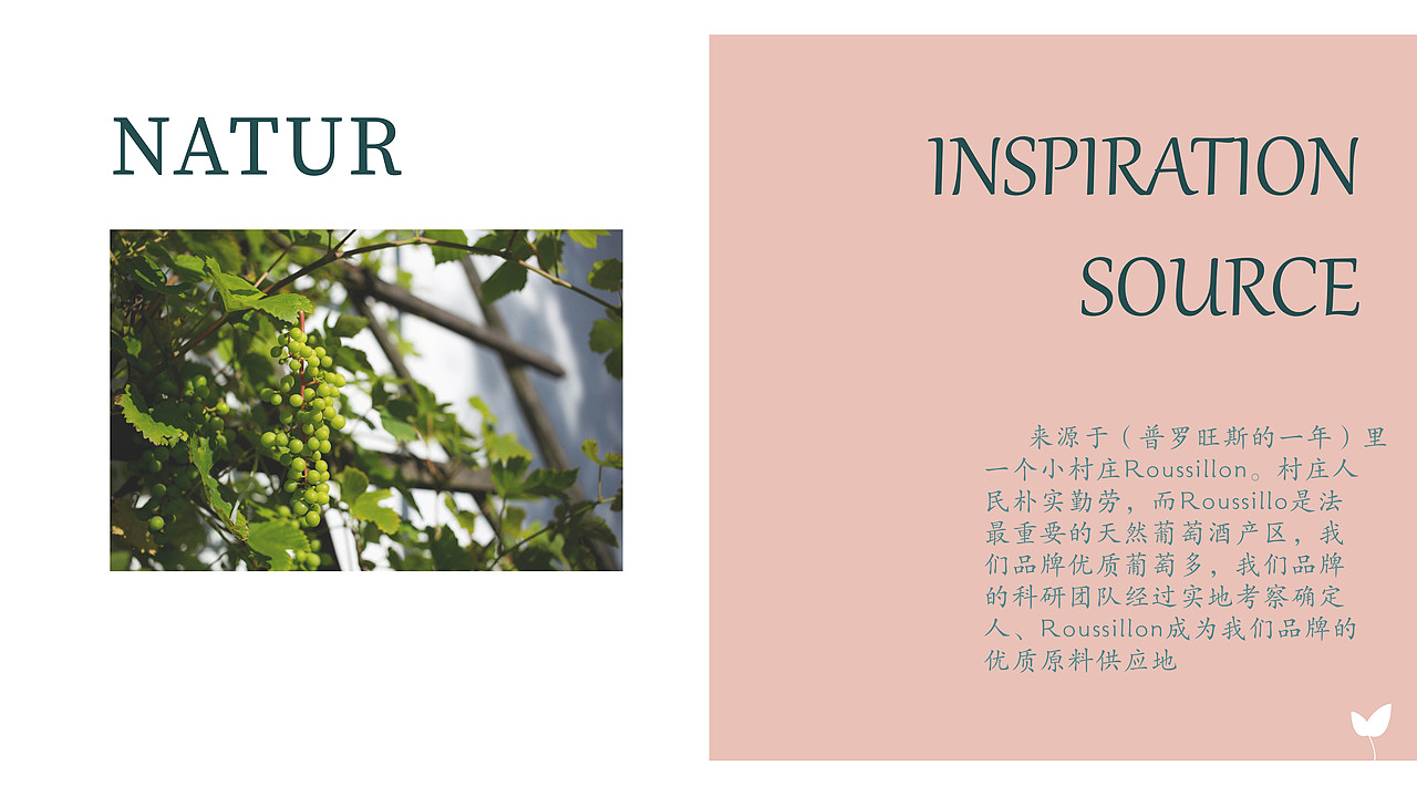 汝西 护肤品 品牌设计 logo