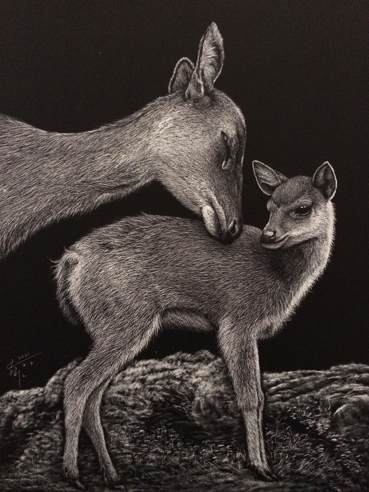 李子哥刮画作品《一鹿有你》