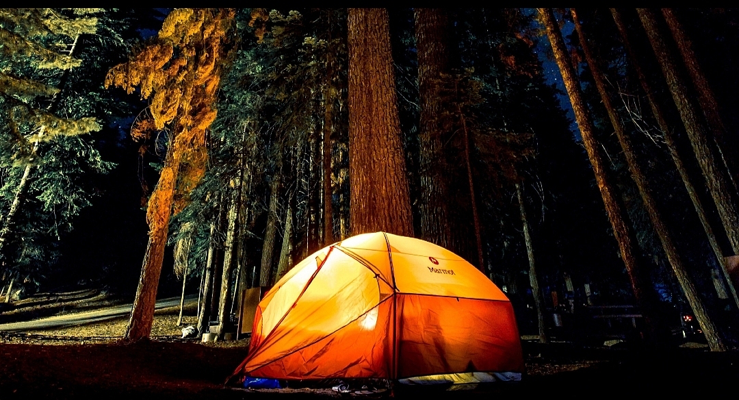 星空为幕,帐篷为营🏕️