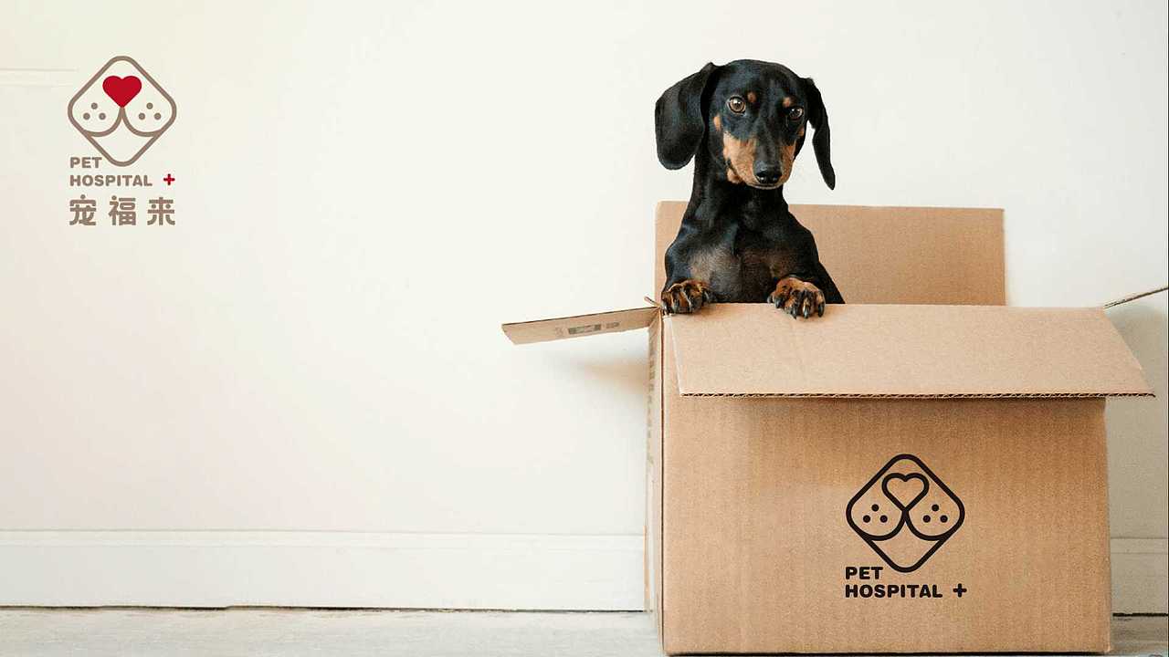 宠福来·宠物医院logo及VI设计（图ZMzA4Mjg5NjEy） - 品牌 - 站酷设计师伟儿monster原创素材 - 站酷ZCOOL