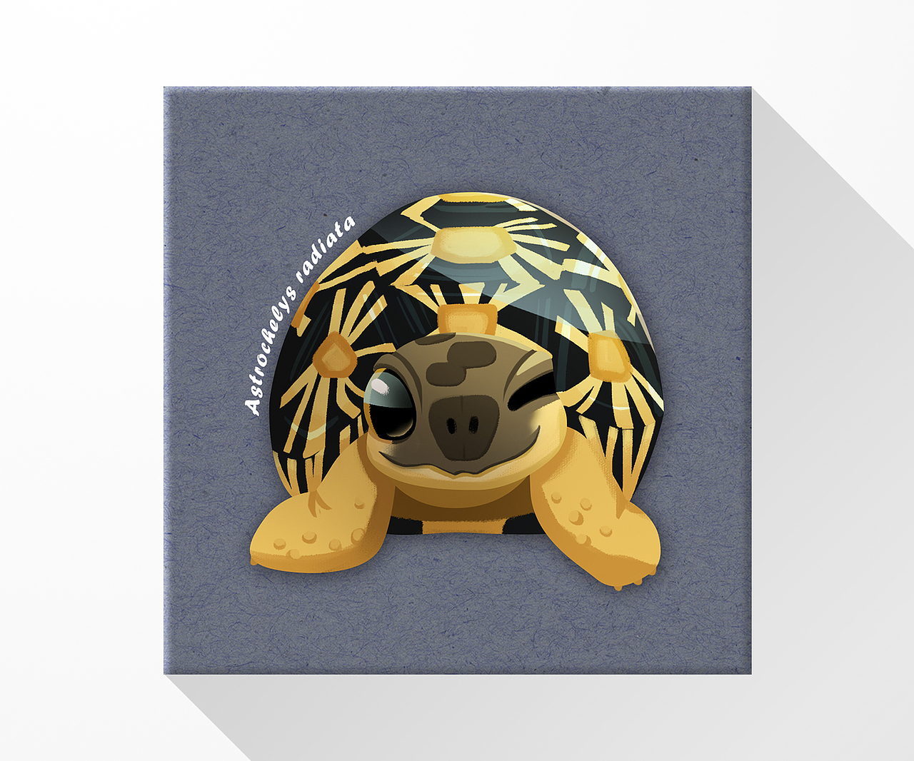 圆球go!陆龟图鉴