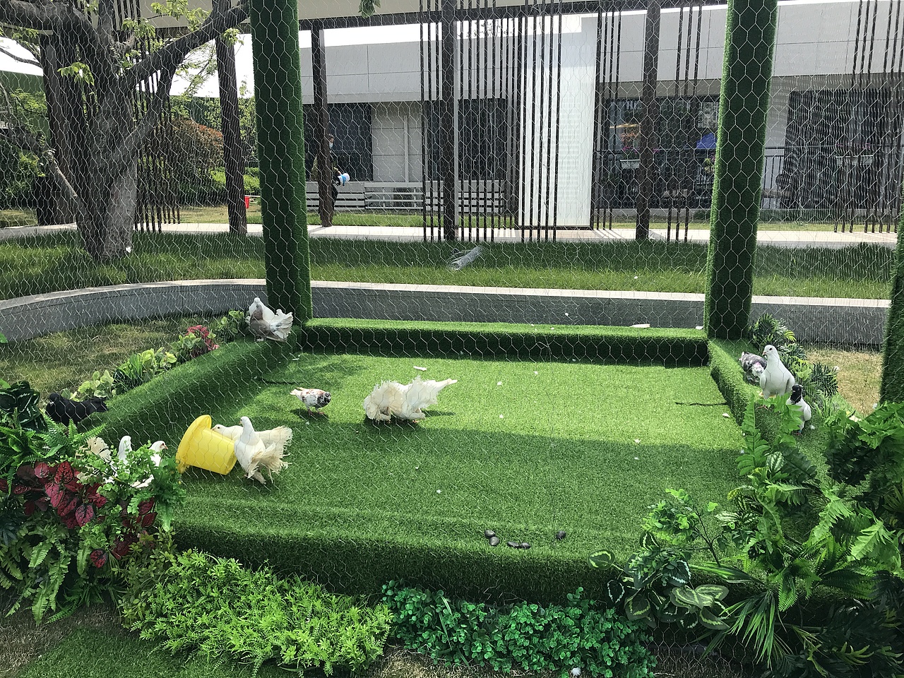 萌宠百鸟展（万达广场）（图ZMjA1NTU1MjA4） - 人文/纪实摄影 - 站酷设计师放狼的小羊原创素材 - 站酷ZCOOL