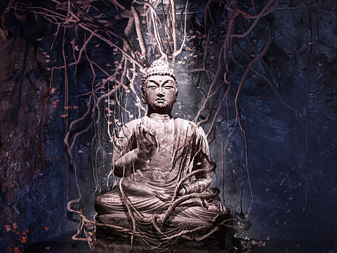 《风起洛阳》花开盛唐