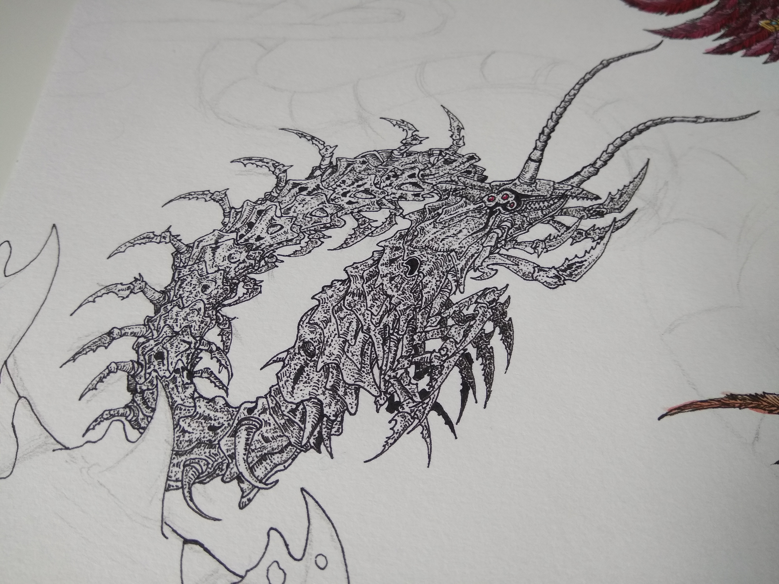 20180305山海经南山经尚鸟付鸟