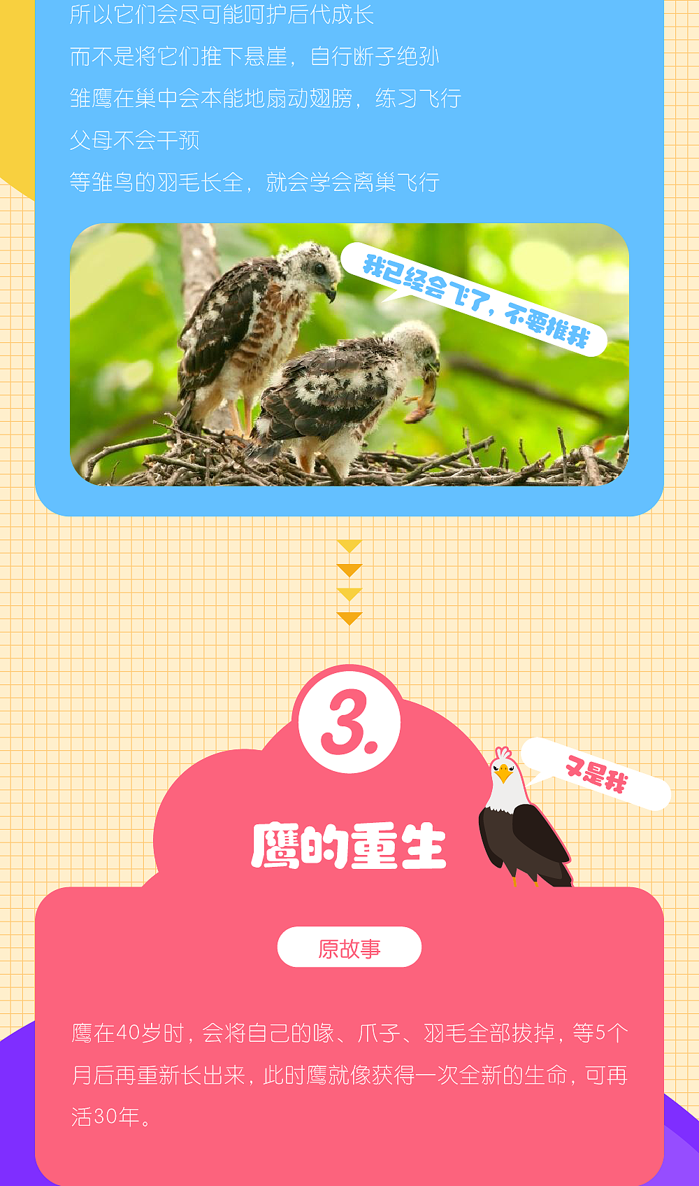 好奇心研究所推文（圖ZMjU2Njc5ODA0） - 其他平面 - 站酷設(shè)計(jì)師銘舍原創(chuàng)素材 - 站酷ZCOOL