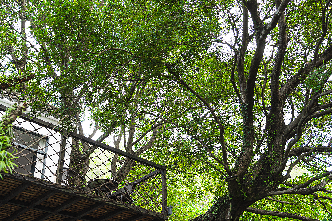 金龟村•回归山林的童话小镇