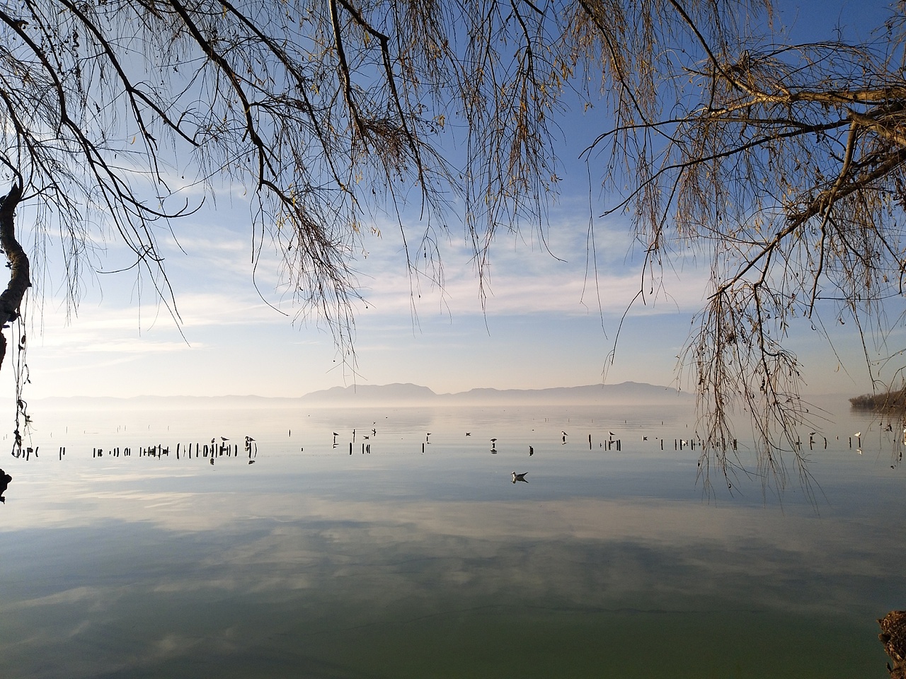 昆明冬天的滇池|摄影|风光|美丽的小憨憨 - 原创作品 - 站酷 (ZCOOL)