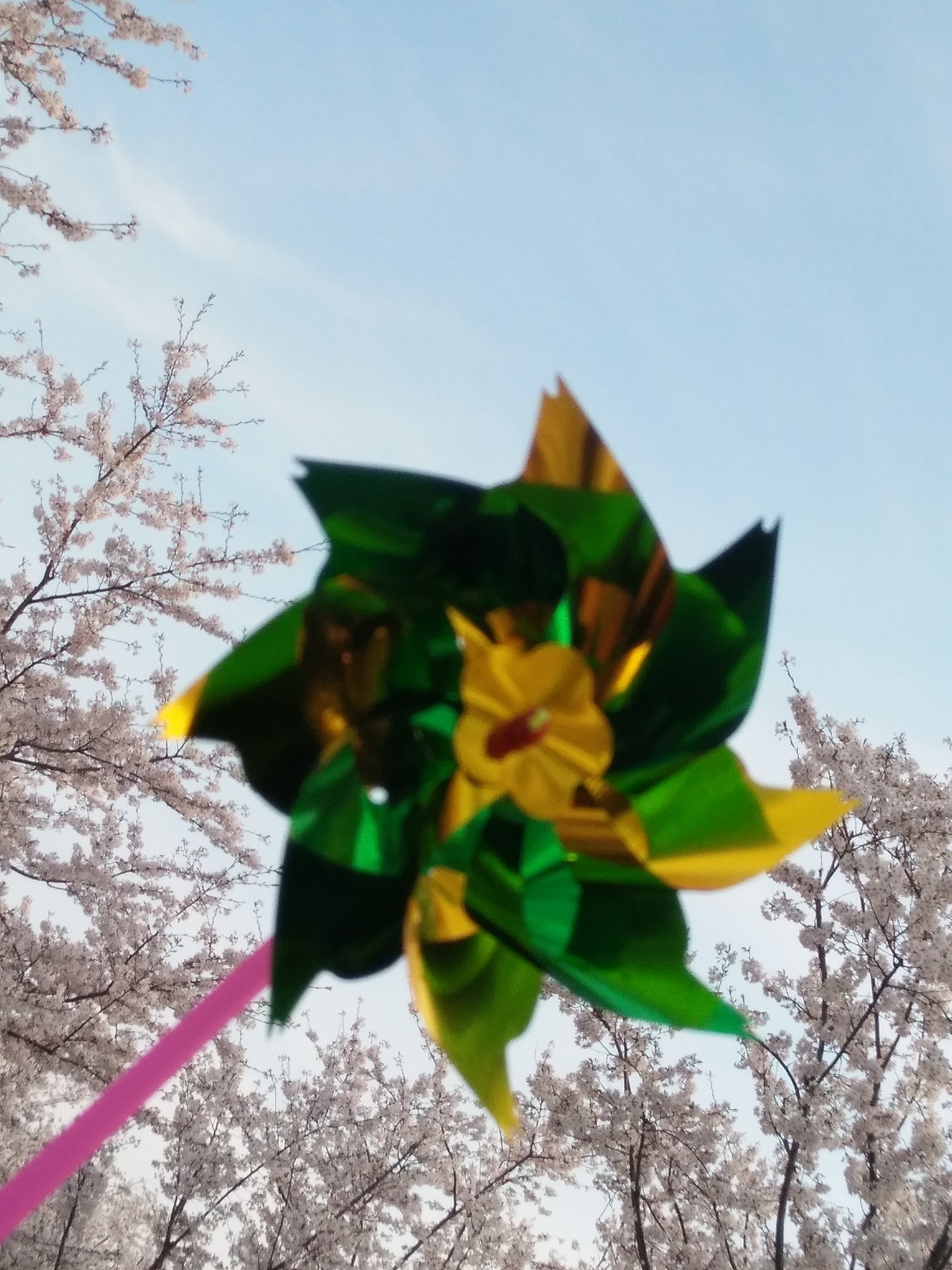 樱花（图ZNzU2MDE5ODQ=） - 风光摄影 - 站酷设计师图尔ya原创素材 - 站酷ZCOOL