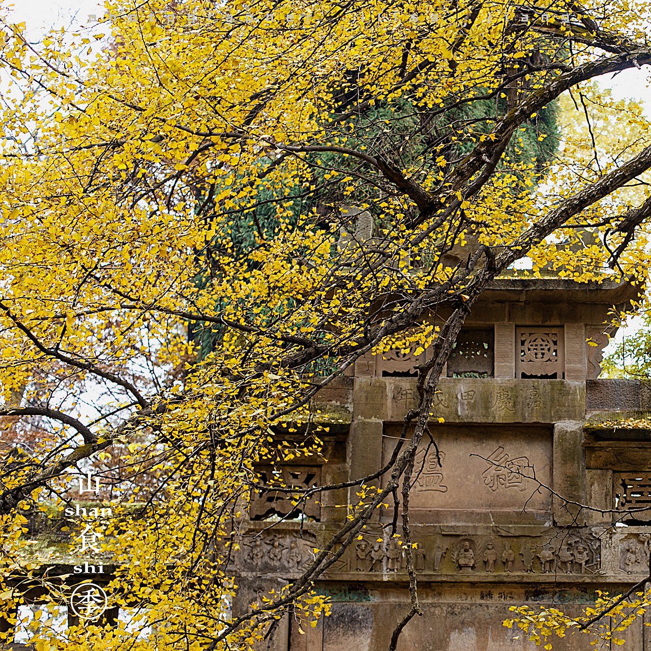 小品四季（图ZMTA4NTgyNTY0） - 产品摄影 - 站酷设计师挲lisa原创素材 - 站酷ZCOOL