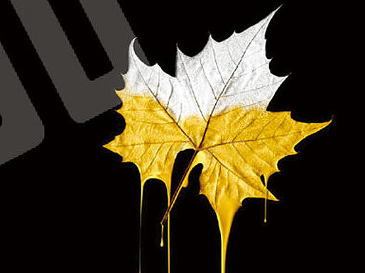 some（個(gè)人主頁(yè)-ZMTI4MTI5OTY=） - 宣傳物料 - 站酷設(shè)計(jì)師Alashangs原創(chuàng)素材 - 站酷ZCOOL